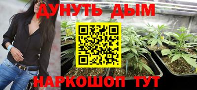 гидра Кулебаки