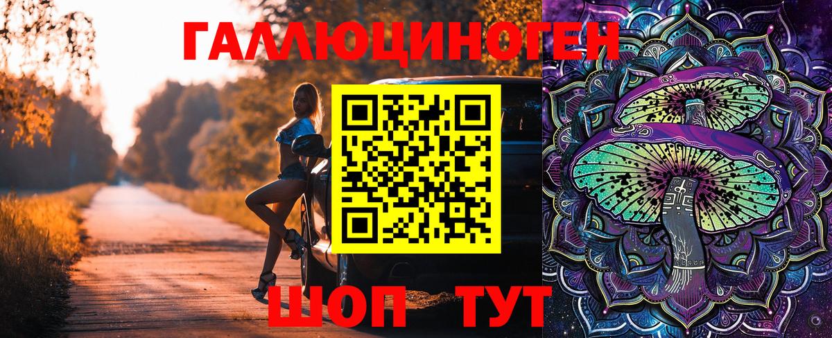 Элиста  Галлюциногенные грибы мухоморы  Вход с VPN 
