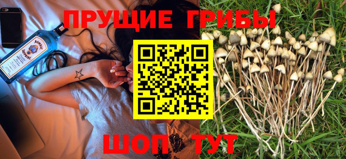 Галлюциногенные грибы GOLDEN TEACHER Элиста